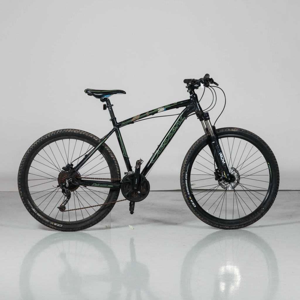 crescent mountainbike 29